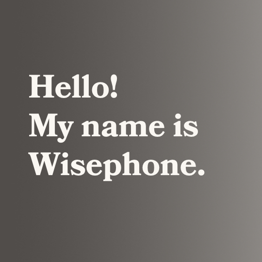 "Prepare to live." Wisephone ad picture